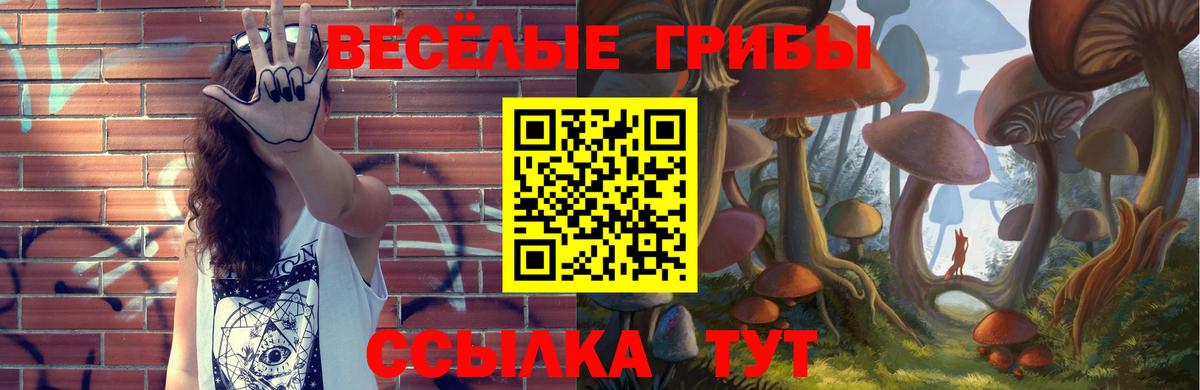 Заволжье  Галлюциногенные грибы мухоморы  Псилоцибиновые грибы прущие грибы  Вход с VPN 